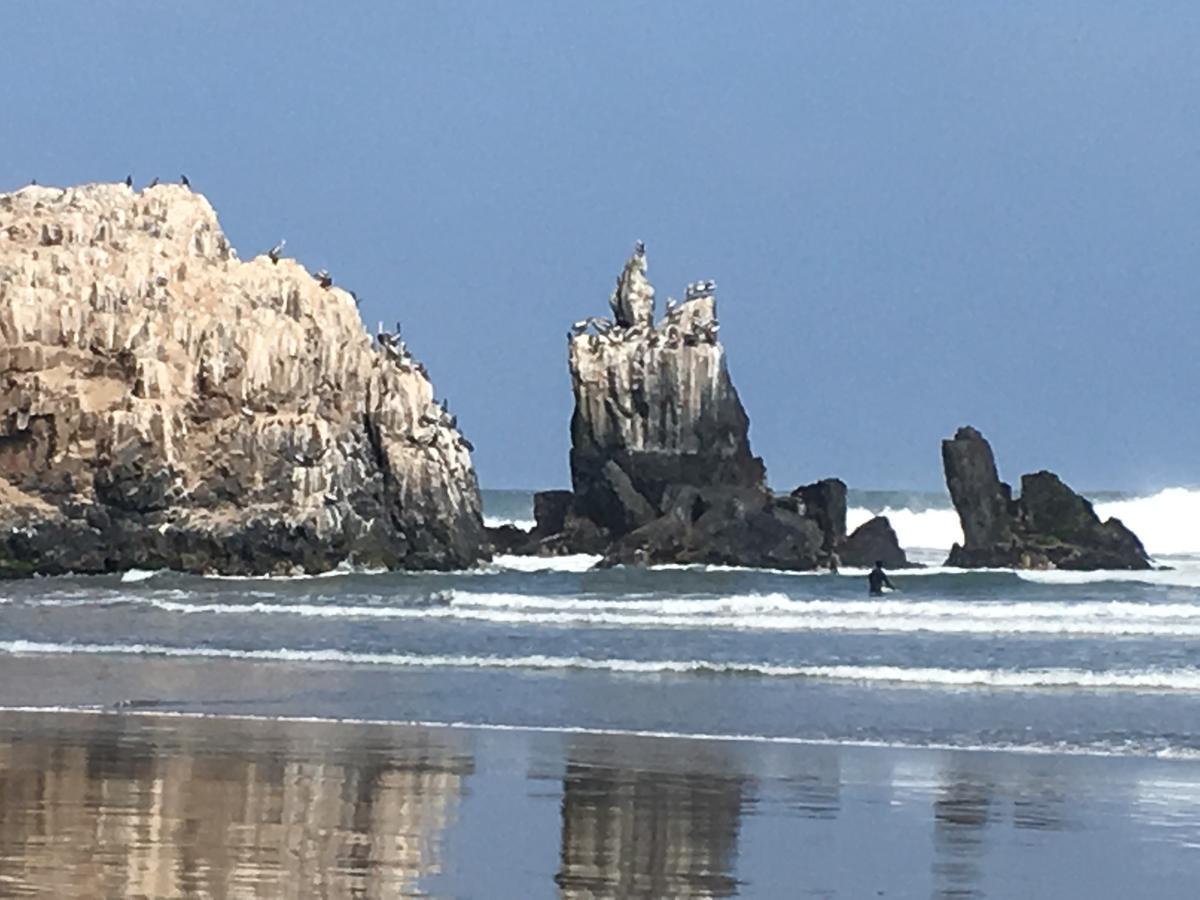 Alojamento de Turismo Selvagem Bungalows Cerro Azul